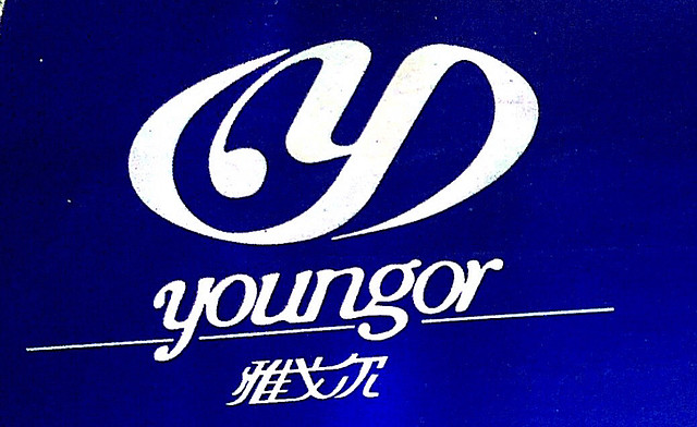 雅戈尔第二代logo图片
