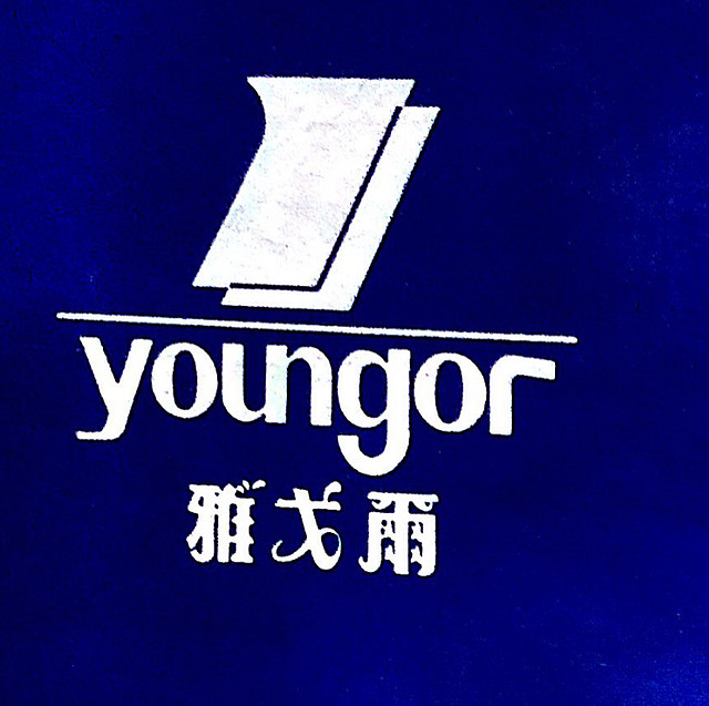 雅戈尔第三代logo图片