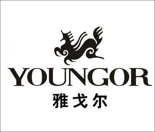 雅戈尔第四代logo图片