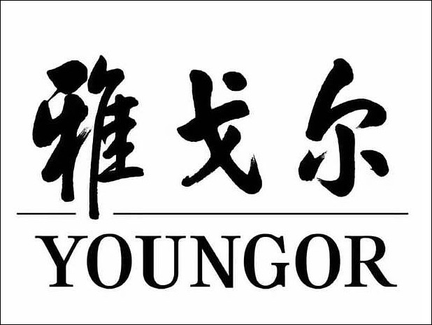 雅戈尔第六代logo图片
